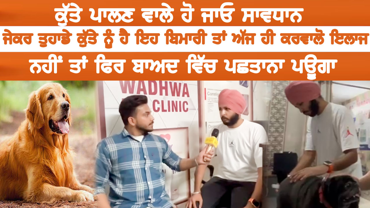 ਕੁੱਤੇ ਪਾਲਣ ਵਾਲੇ ਹੋ ਜਾਓ ਸਾਵਧਾਨ ਅੱਤੇ ਜਰੂਰ ਦੇਖੋ ਇਸ ਵੀਡੀਓ ਨੂੰ